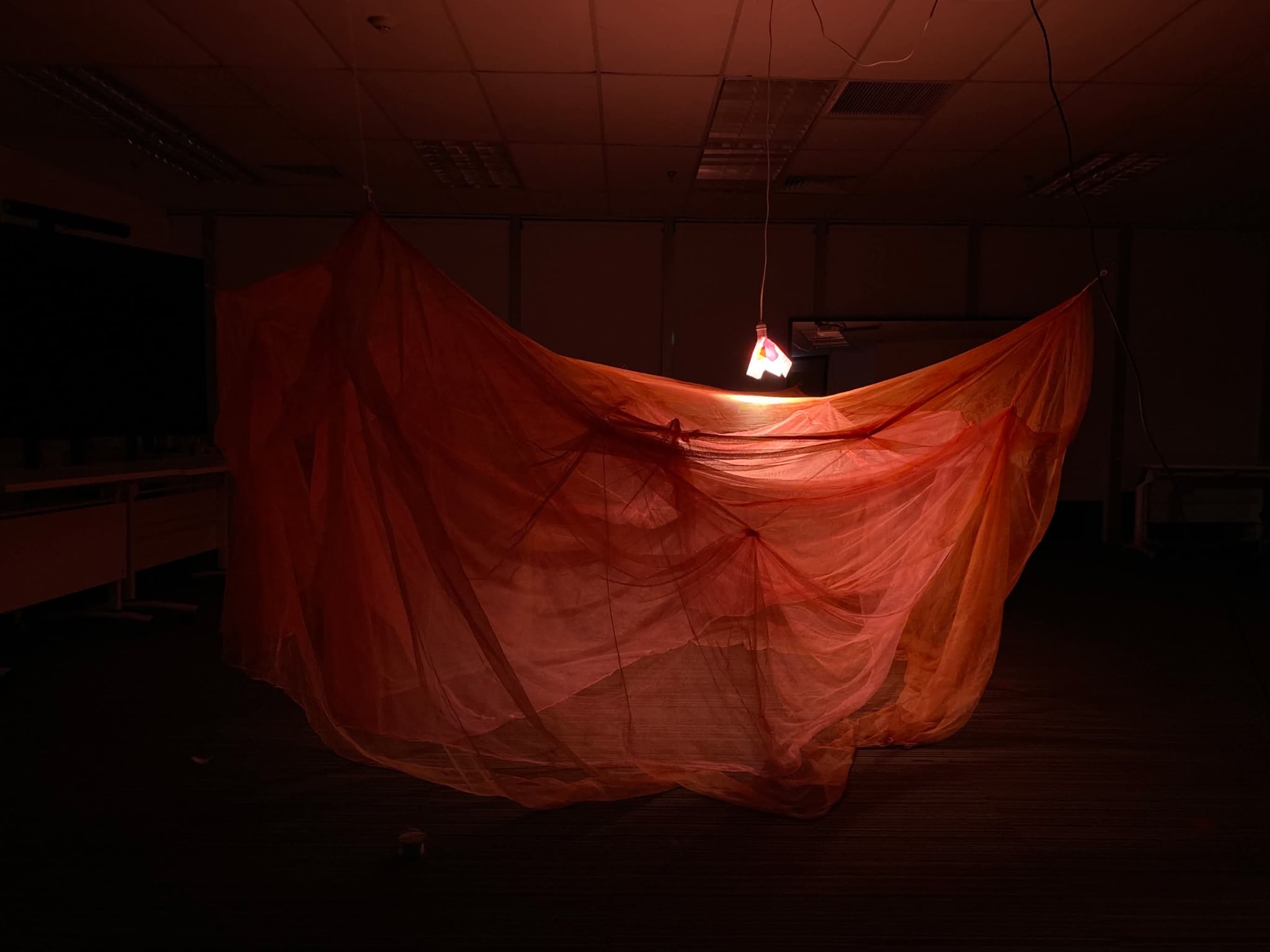 (signed) This Is Not What Thought / Yuri Hasegawa